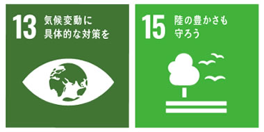 SDGs